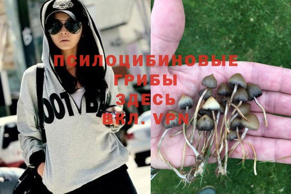 метадон Нягань