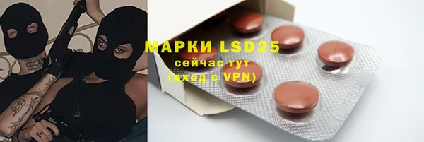 индика Болотное