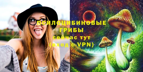 мдма Няндома