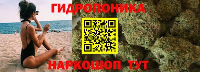 скорость Гай