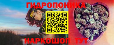 скорость Гай