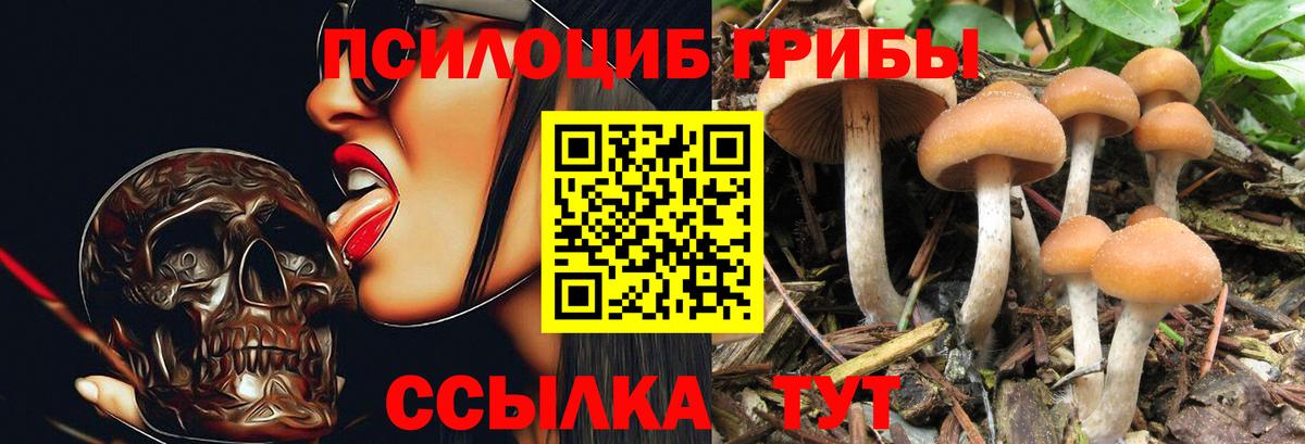Галлюциногенные грибы MAGIC MUSHROOMS  Вход с VPN  Домодедово 